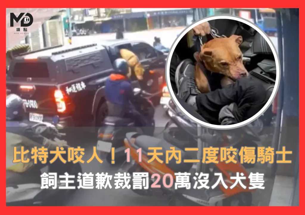 比特犬咬人!11天2度咬傷騎士,飼主道歉罰20萬沒入犬隻