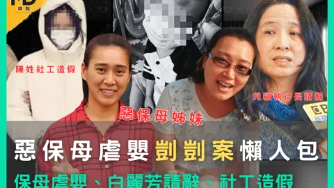 剴剴案懶人包!保母虐嬰、白麗芳請辭、社工造假，還原真相釐清案件一次看