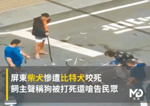 屏東柴犬慘遭比特犬咬死！飼主聲稱狗被打死還嗆告民眾