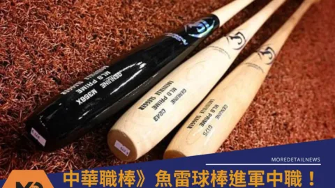 中華職棒》魚雷球棒進軍中職！聯盟放寬認證規範 最快下週開打可用