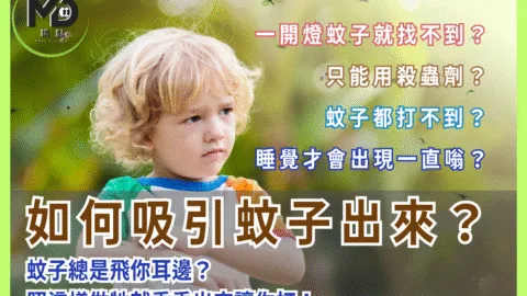 蚊子總是飛你耳邊？如何吸引蚊子出來？照這樣做牠就乖乖出來讓你打！