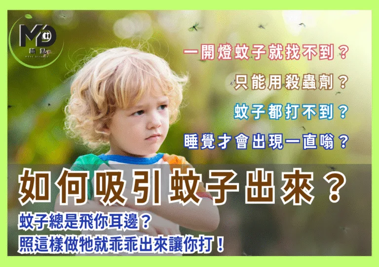 蚊子總是飛你耳邊？如何吸引蚊子出來？照這樣做牠就乖乖出來讓你打！