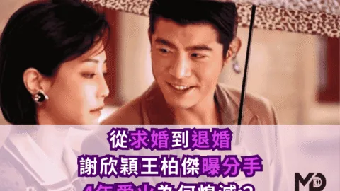 從求婚到退婚！謝欣穎王柏傑曝分手：4年愛火為何熄滅？