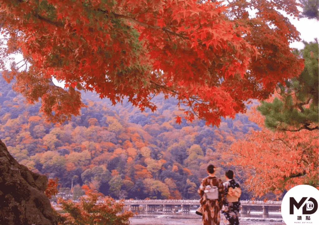 京都嵐山是著名紅葉觀賞景點