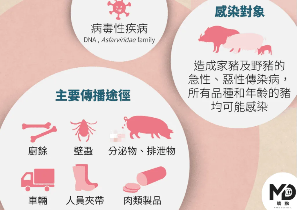 非洲豬瘟傳染途徑