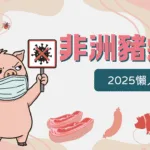 2025非洲豬瘟懶人包！特性、傳播途徑、存活期一次看！