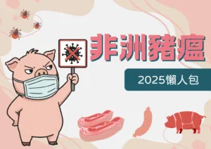 2025非洲豬瘟懶人包！特性、傳播途徑、存活期一次看！