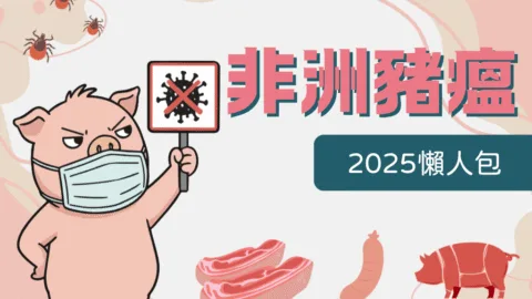 2025非洲豬瘟懶人包！特性、傳播途徑、存活期一次看！