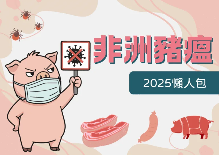 2025非洲豬瘟懶人包！特性、傳播途徑、存活期一次看！
