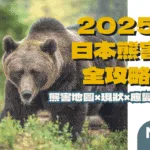 遇到熊怎麼辦？2025日本熊害地圖、現狀與應變措施全攻略！