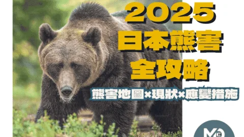 遇到熊怎麼辦？2025日本熊害地圖、現狀與應變措施全攻略！
