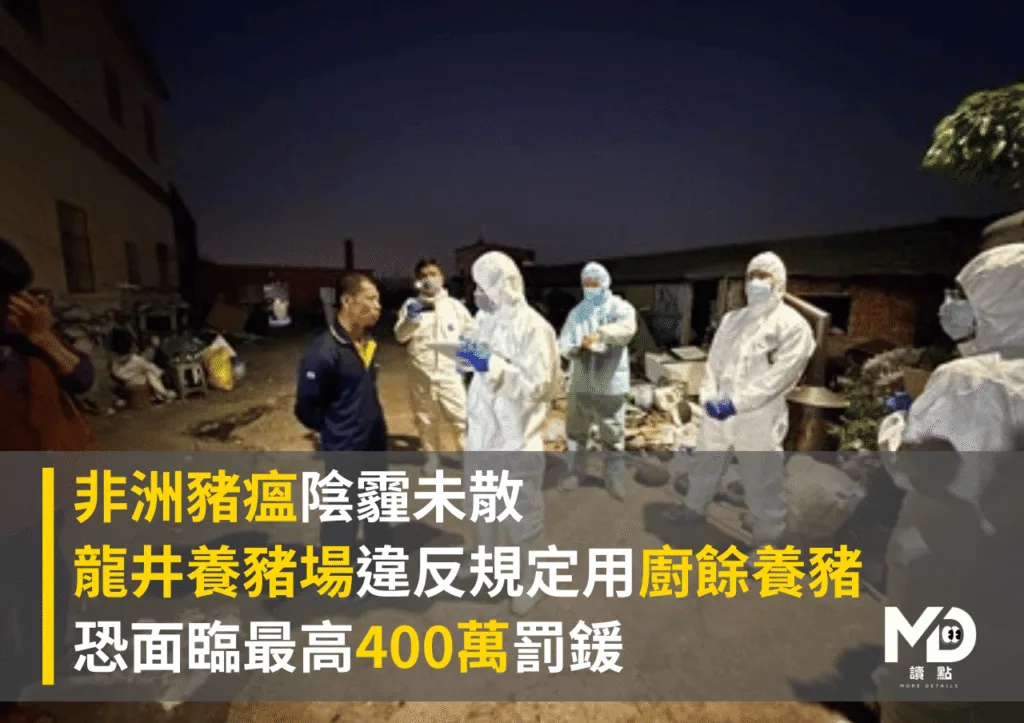 非洲豬瘟陰霾未散 龍井養豬場用廚餘養豬恐面臨最高400萬罰鍰