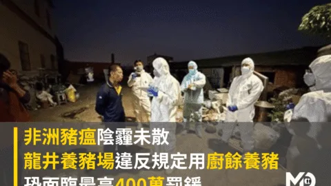 非洲豬瘟陰霾未散　龍井養豬場用廚餘養豬恐面臨最高400萬罰鍰