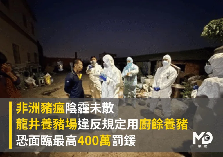 非洲豬瘟陰霾未散　龍井養豬場用廚餘養豬恐面臨最高400萬罰鍰