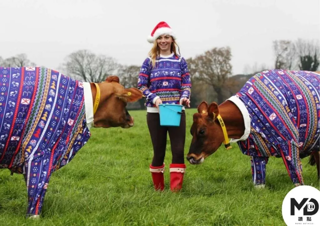 醜毛衣是什麼？從聖誕穿搭到流行文化的完整介紹