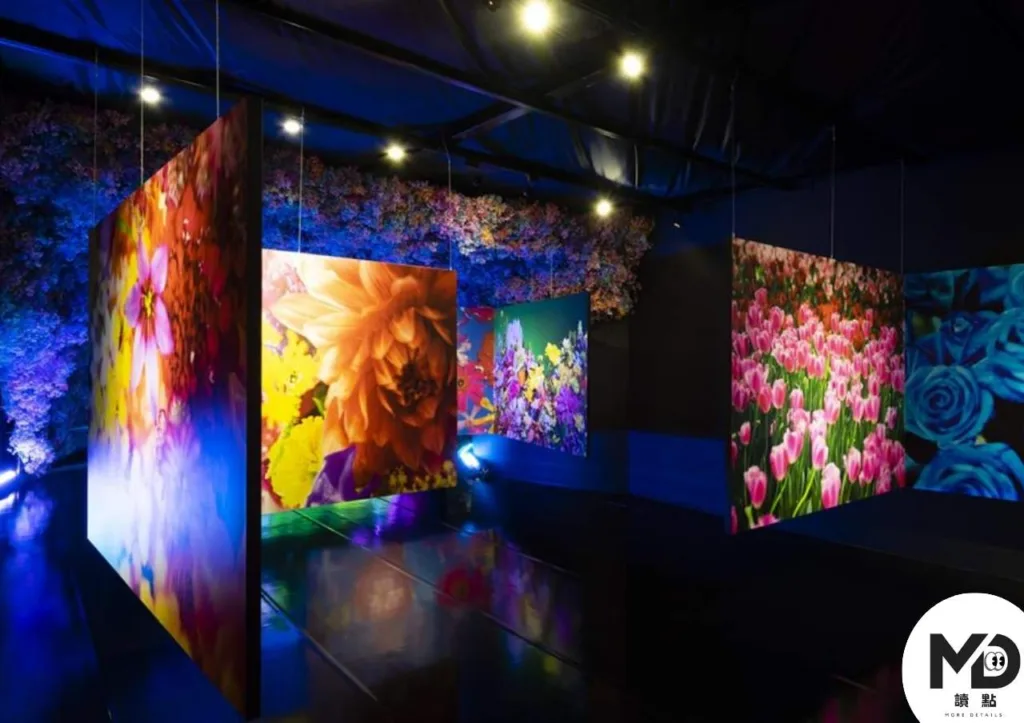 走進蜷川實花的視覺世界｜《岸之光，此岸之影》特展1/17台北登場