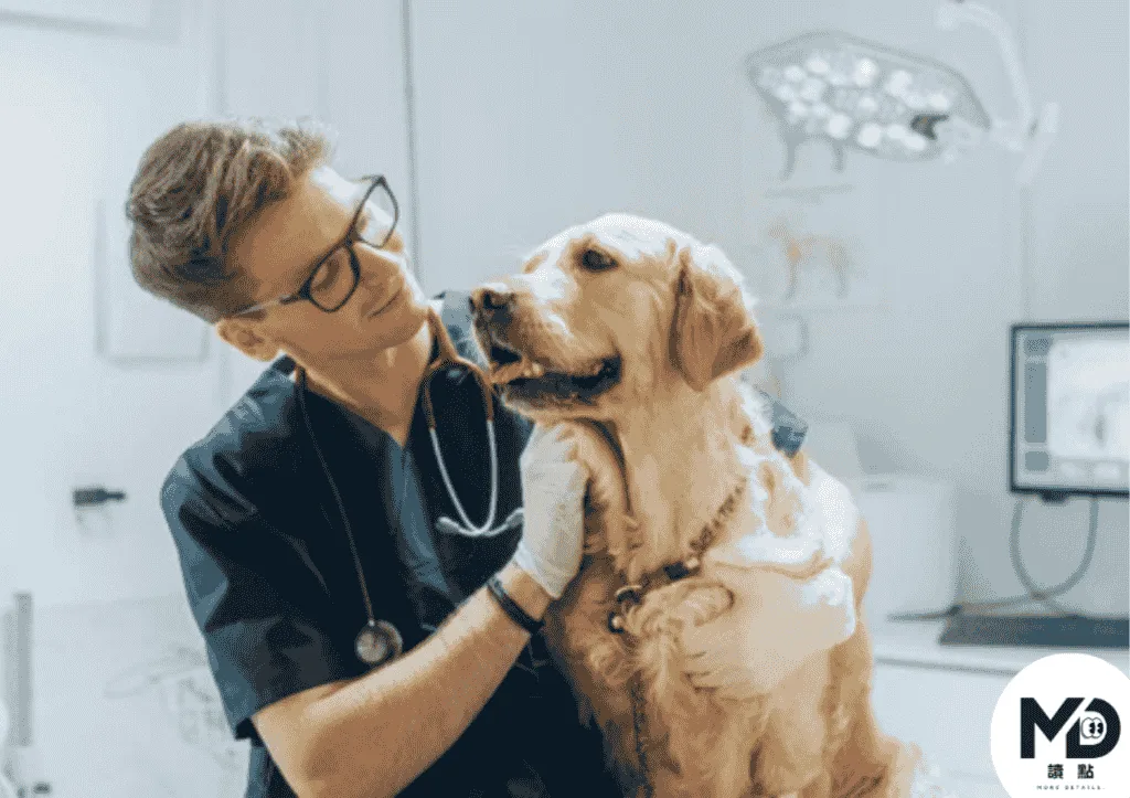 爭議從法規設計一路燒到第一線醫療