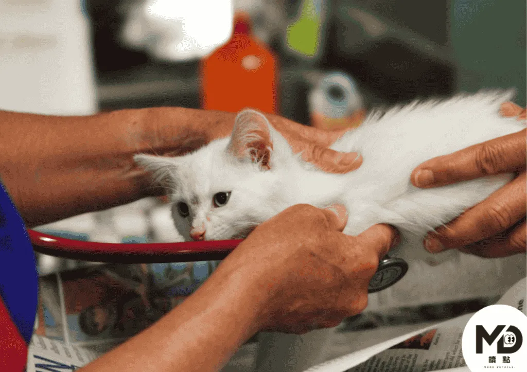 2026寵物新制目前先暫緩