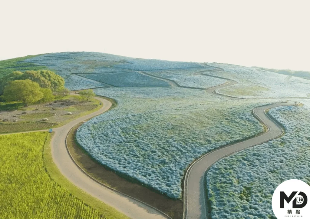 國營常陸海濱公園