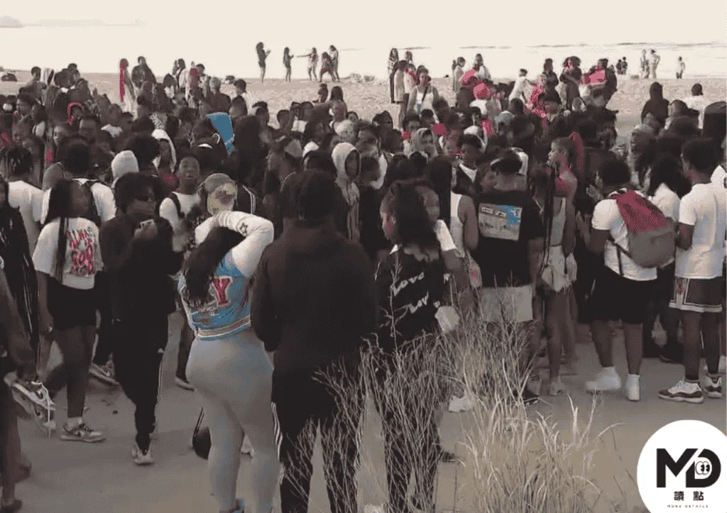 「青少年接管」(teen takeovers)是美國近年常見的一種大型青少年群聚現象