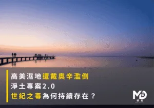 高美濕地遭戴奧辛濫倒｜淨土專案2.0｜世紀之毒為何持續存在