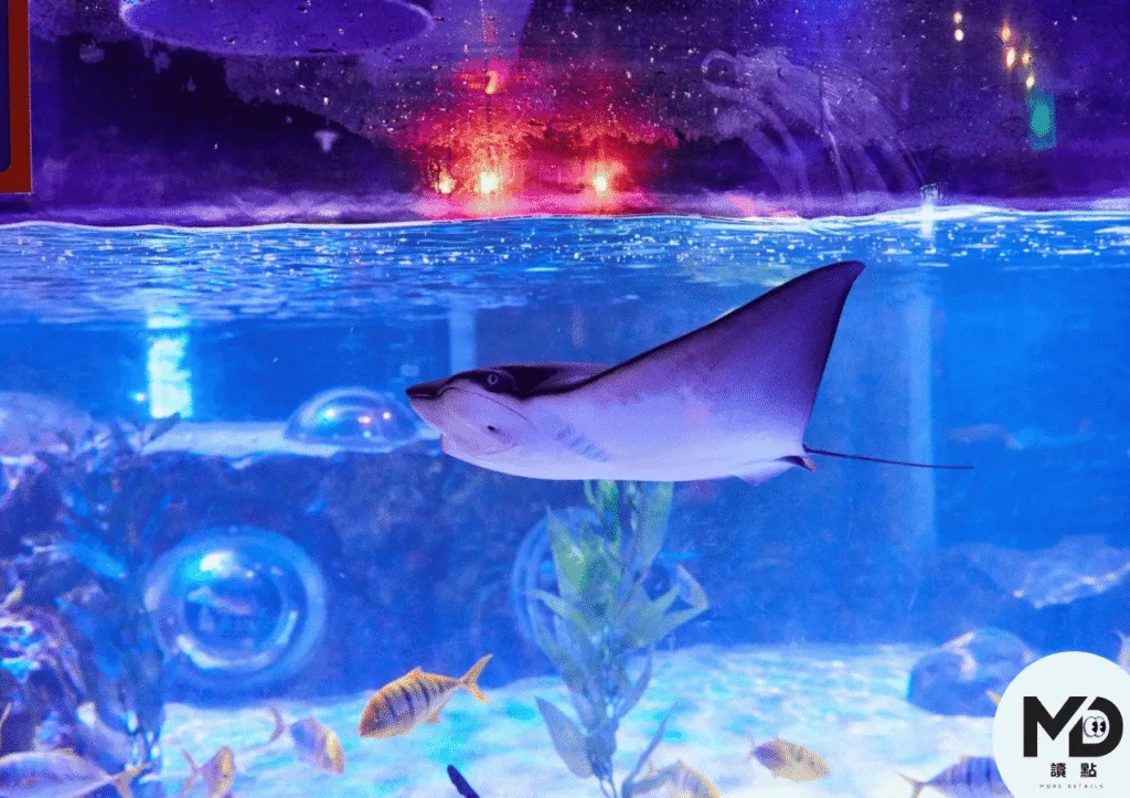 SEA LIFE釜山水族館有豐富海洋生物