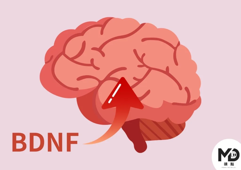 光是散步還不夠！想預防失智就要「喘」，中高強度運動怎麼做、做多久、完整攻略一次看