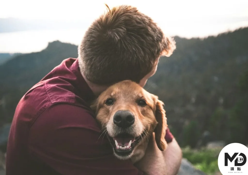 不只是陪伴！寵物療法為什麼能治病？從降血壓到改善失智，動物輔助治療完整攻略