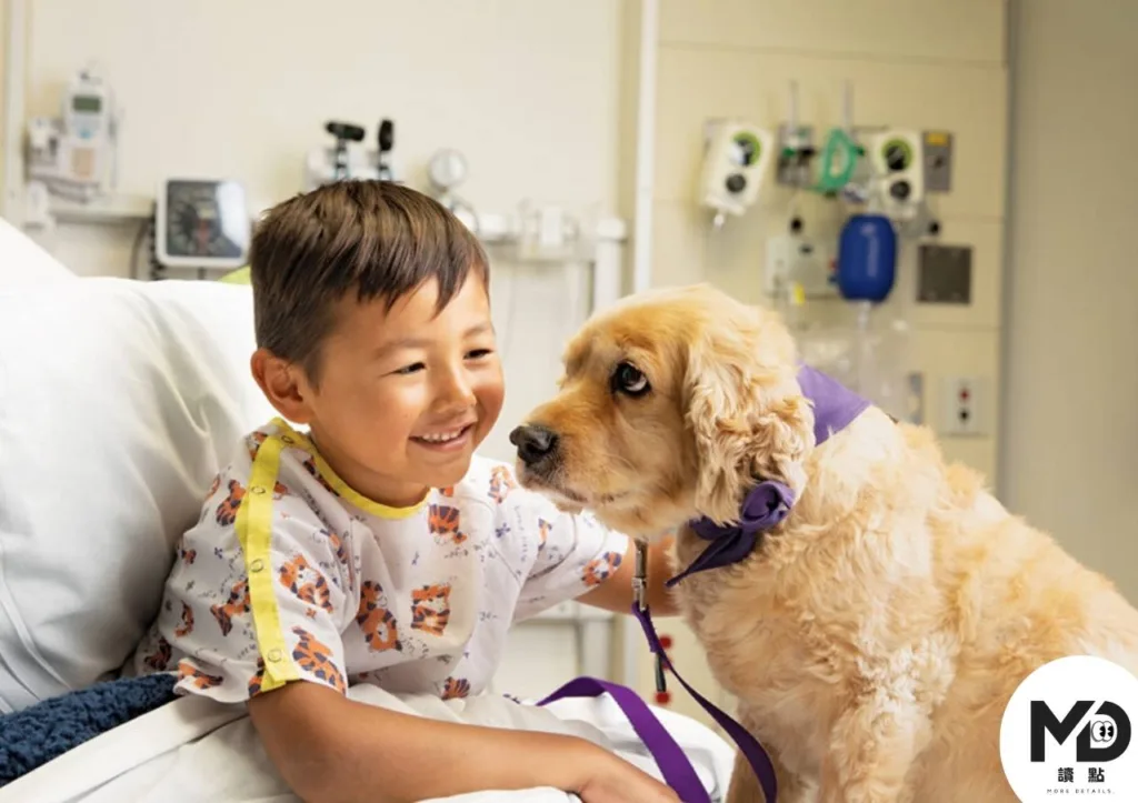 不只是陪伴！寵物療法為什麼能治病？從降血壓到改善失智，動物輔助治療完整攻略