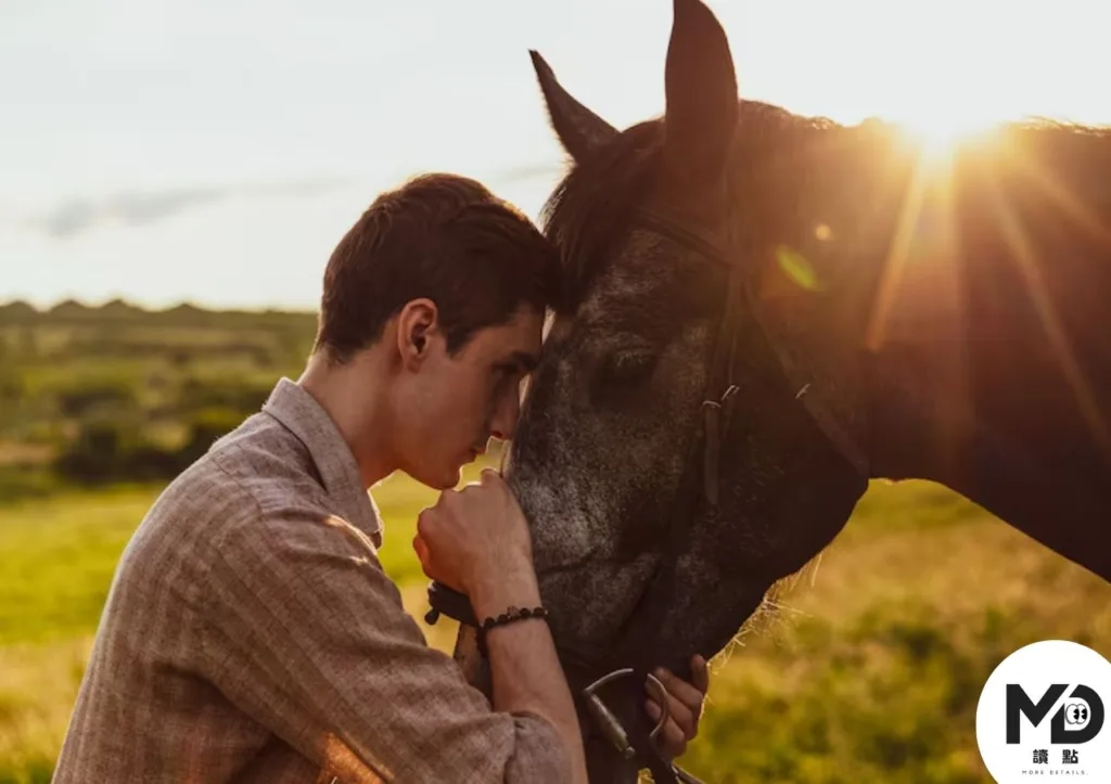 不只是陪伴！寵物療法為什麼能治病？從降血壓到改善失智，動物輔助治療完整攻略