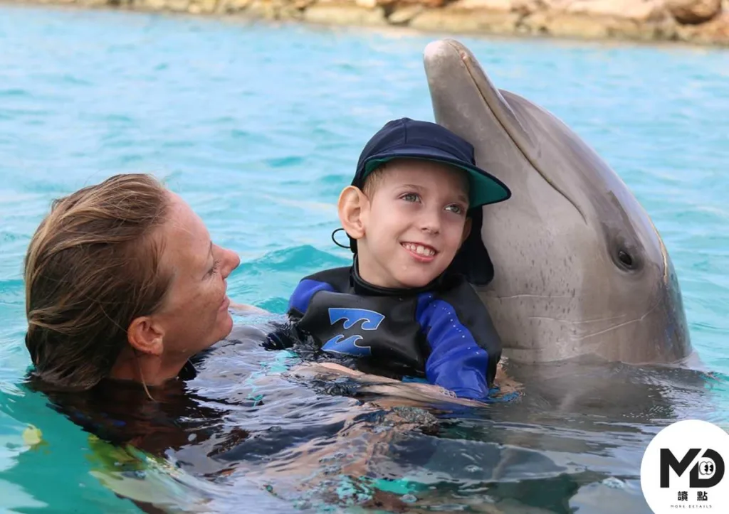 不只是陪伴！寵物療法為什麼能治病？從降血壓到改善失智，動物輔助治療完整攻略