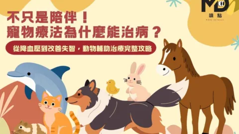 不只是陪伴！寵物療法為什麼能治病？從降血壓到改善失智，動物輔助治療完整攻略