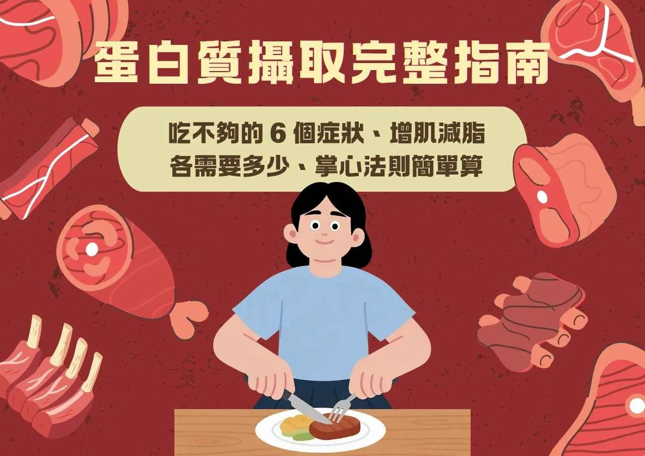 蛋白質攝取完整指南：吃不夠的6個症狀、增肌減脂各需要多少、掌心法則簡單算