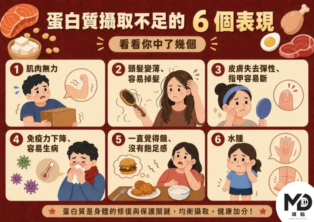 蛋白質攝取完整指南：吃不夠的6個症狀、增肌減脂各需要多少、掌心法則簡單算