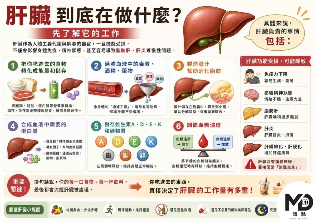 肝臟在幫你默默解毒，你吃對護肝食物了嗎？10種天然好食物，讓肝臟負擔少一半