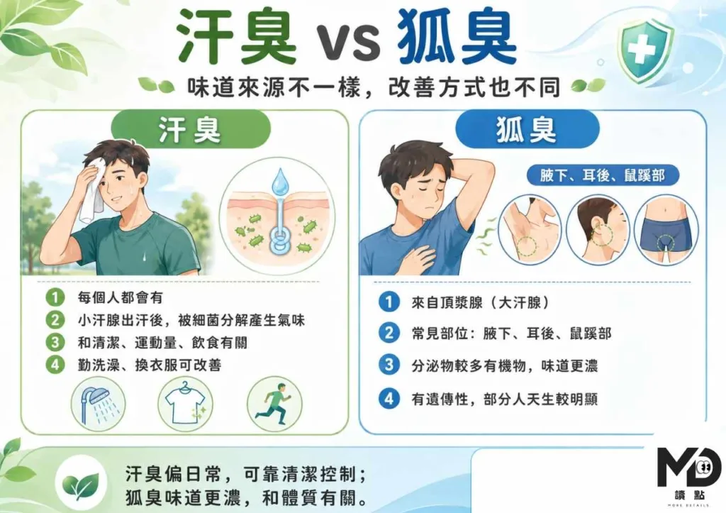 夏天體味超重？「體味改善全攻略」原因、飲食、清潔一次看