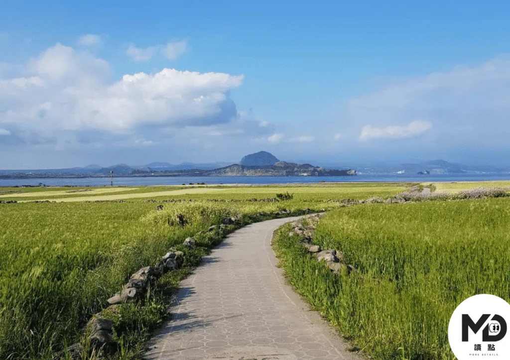 加波島偶來小路