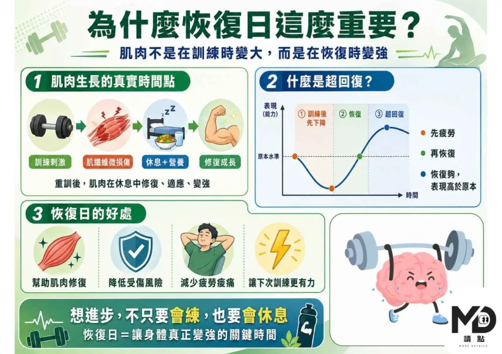 重訓後恢復日怎麼安排 ? 超回復機制×7大恢復策略完整攻略