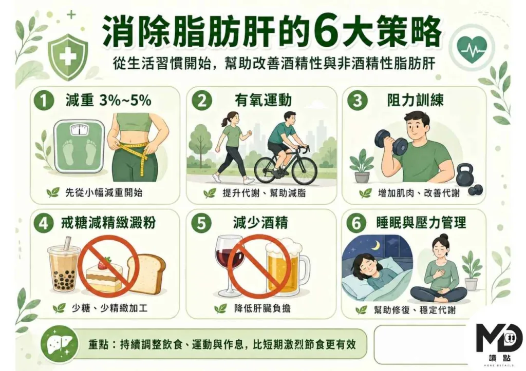 脂肪肝可以逆轉！飲食×運動×生活習慣｜消除脂肪肝完整攻略
