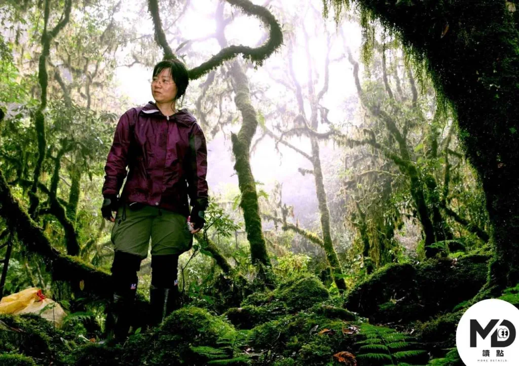 紀錄片神木之島:台灣第一部追尋巨木的|導演燒光退休金的山林追尋