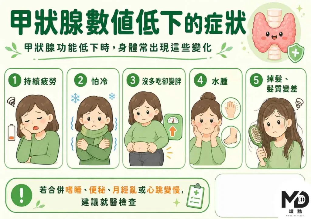甲狀腺功能低下，你的疲勞可能不是「沒睡好」！10大症狀與改善方式
