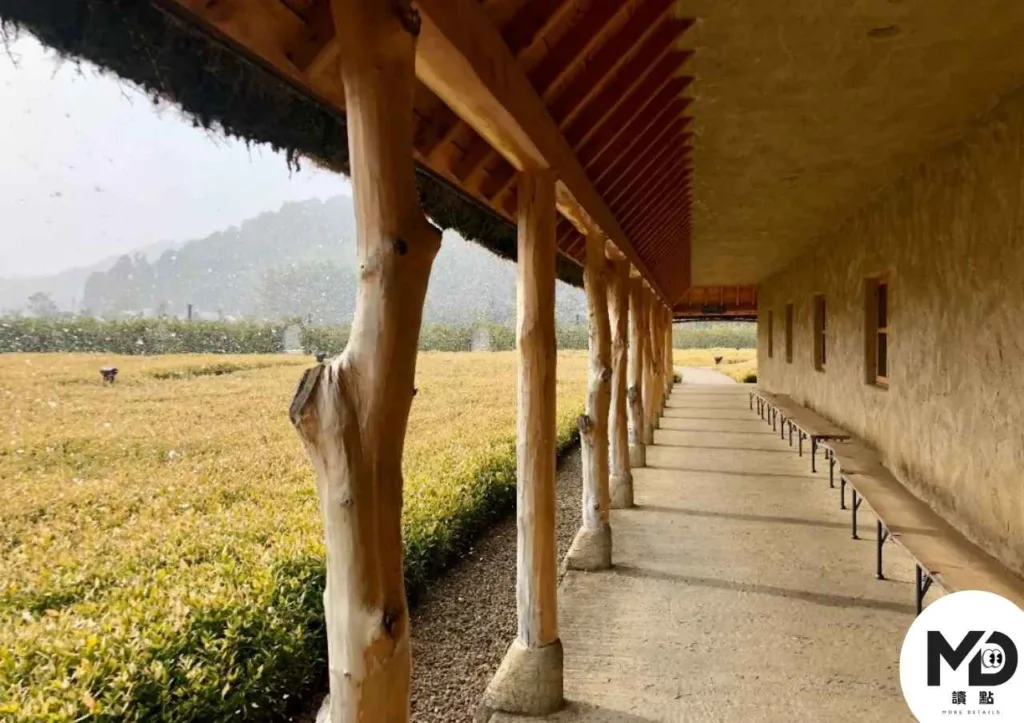 La Collina近江八幡|日本最夢幻甜點工廠|草屋根建築×現烤年輪蛋糕