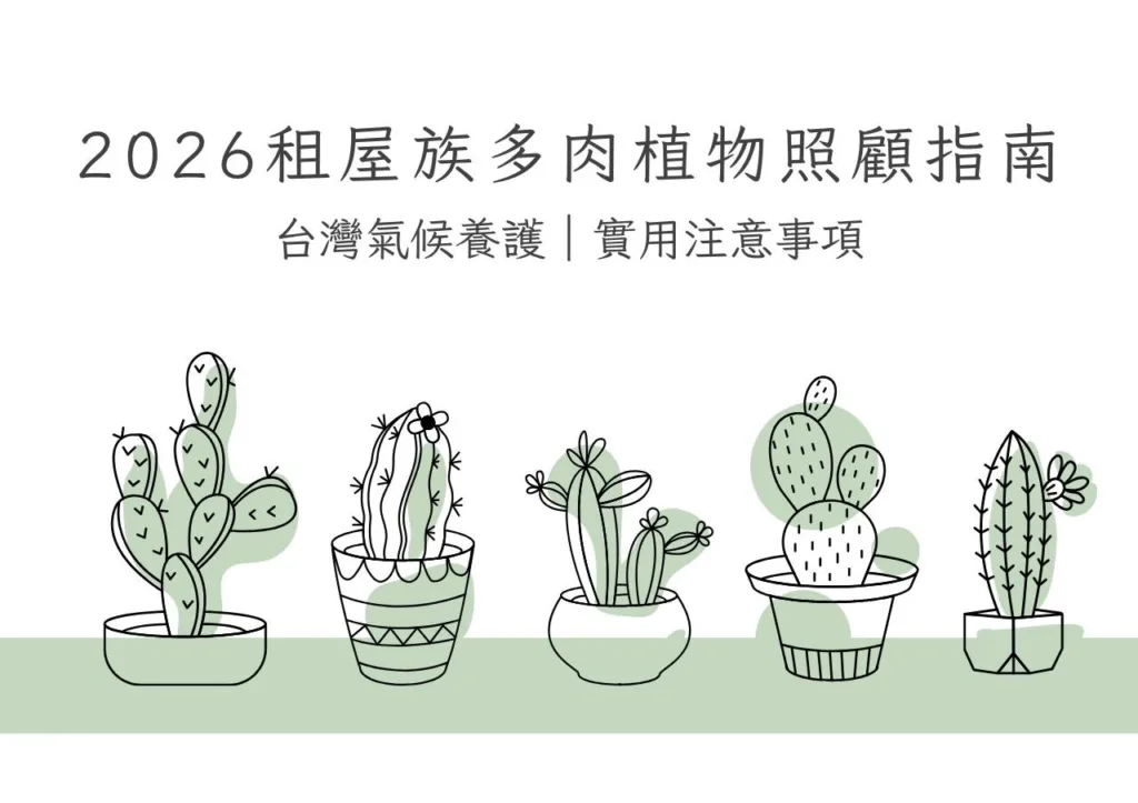2026租屋族多肉植物照顧指南|台灣氣候養護|實用注意事項