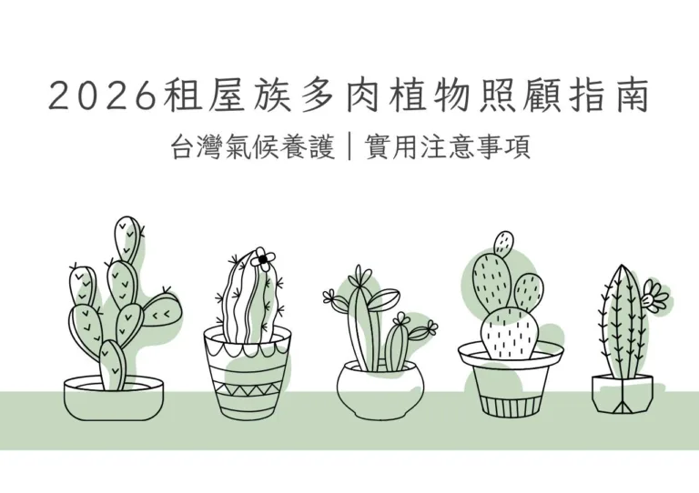 2026租屋族多肉植物照顧指南|台灣氣候養護|實用注意事項