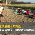 花生價崩創十年新低:農民叫苦連天!埋怨政府無作為
