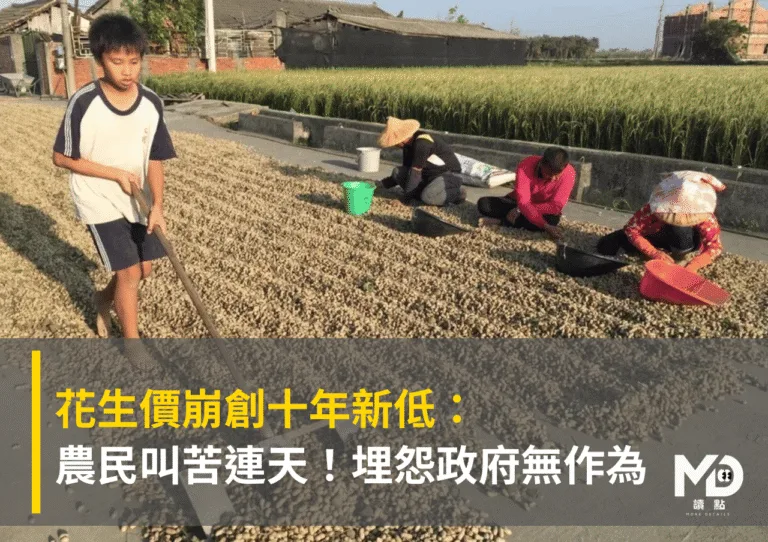 花生價崩創十年新低:農民叫苦連天!埋怨政府無作為
