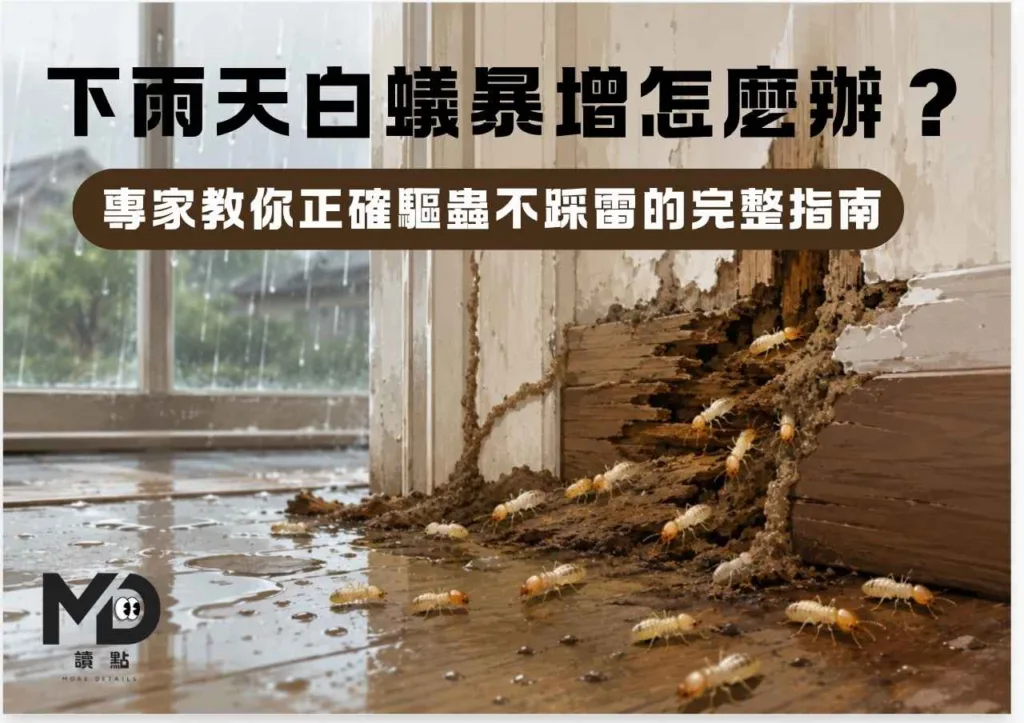 下雨天白蟻暴增怎麼辦?專家教你正確驅蟲不踩雷的完整指南