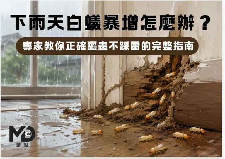 下雨天白蟻暴增怎麼辦?專家教你正確驅蟲不踩雷的完整指南